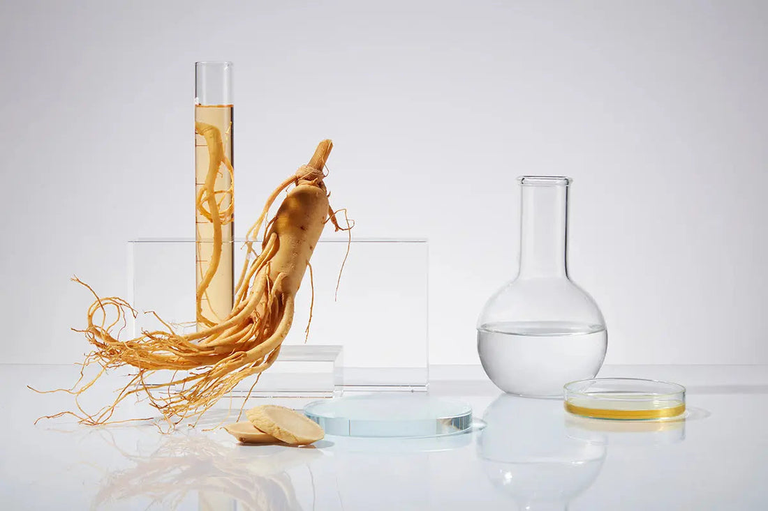 Korean Skincare Ingredients