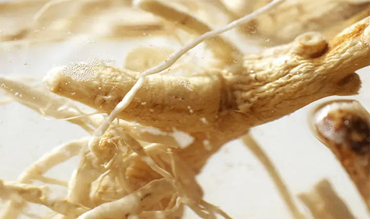 Pyunkang Yul Essence Toner 200ml-3