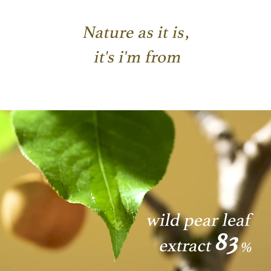 ImFrom Pear Serum - 50ml