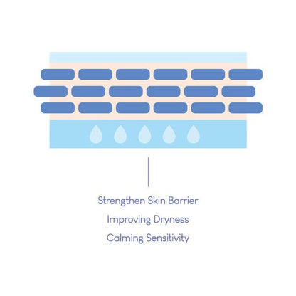 Purito Dermide Cica Barrier Sleeping Pack 80ml