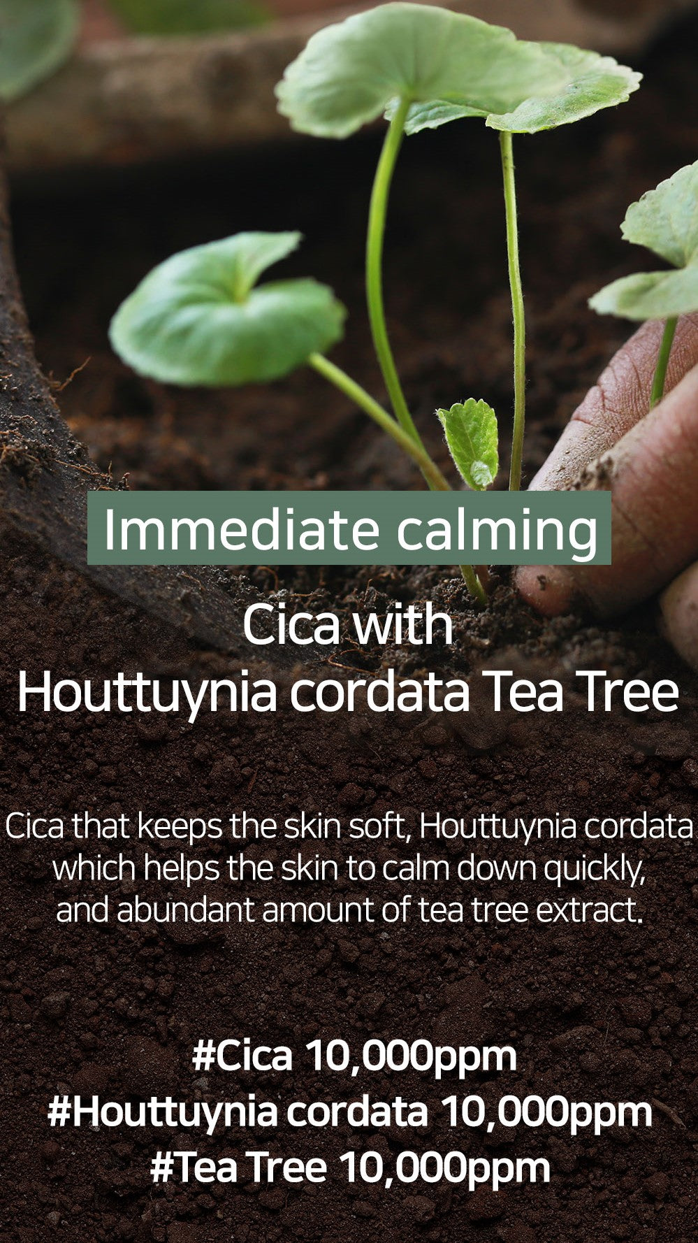 Mary&May Cica Houttuynia cordata Tea Tree Calming Mask Pack - 30 sheets