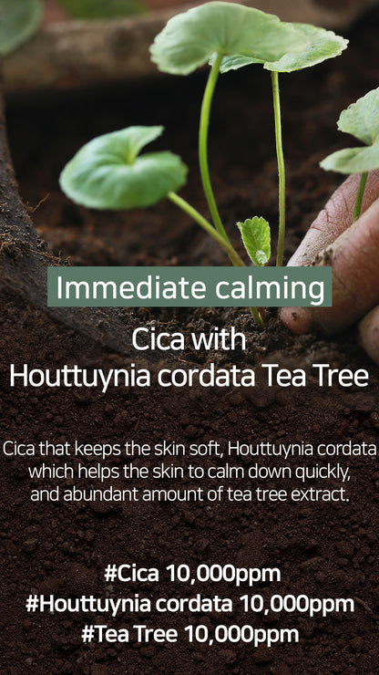 Mary&May Cica Houttuynia cordata Tea Tree Calming Mask Pack - 30 sheets