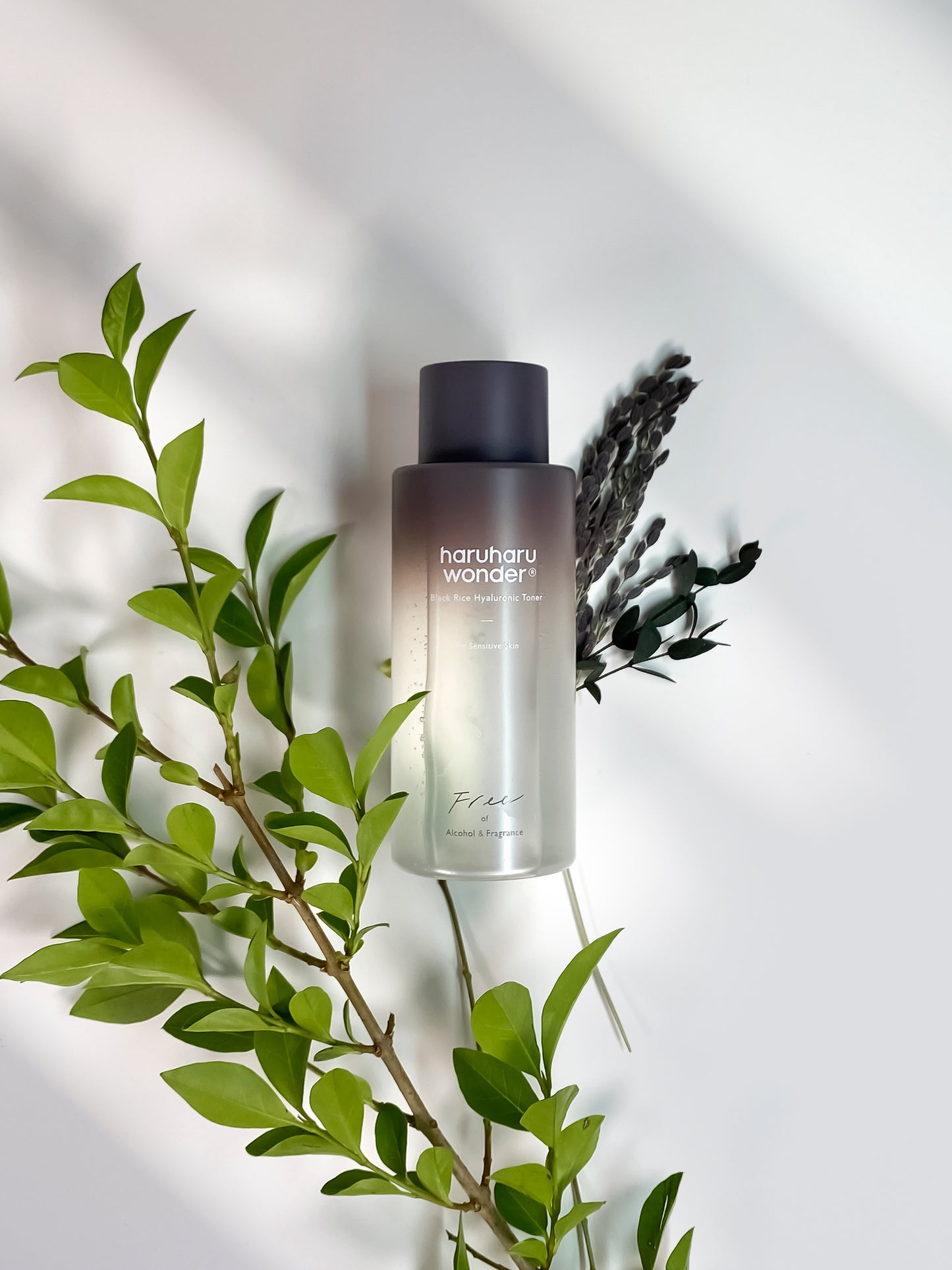 haruharuwonder Black Rice Hyaluronic Toner for Sensitive Skin - 3Size