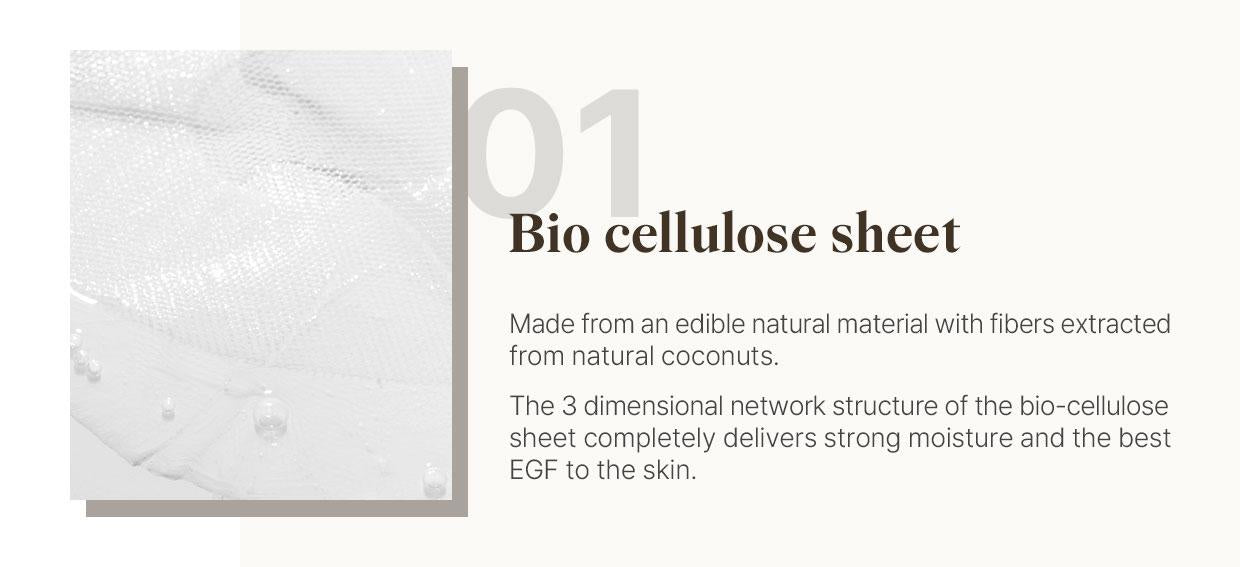 Reblocell Flossom Regenerating Facial Mask EGF 1ppm 1 Sheet