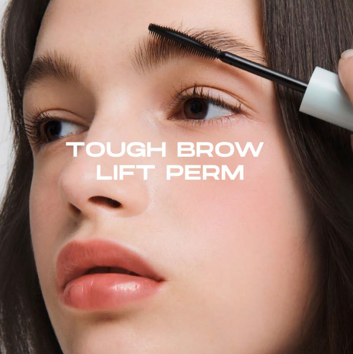 ENTROPY Tough Brow Lift Perm 20g