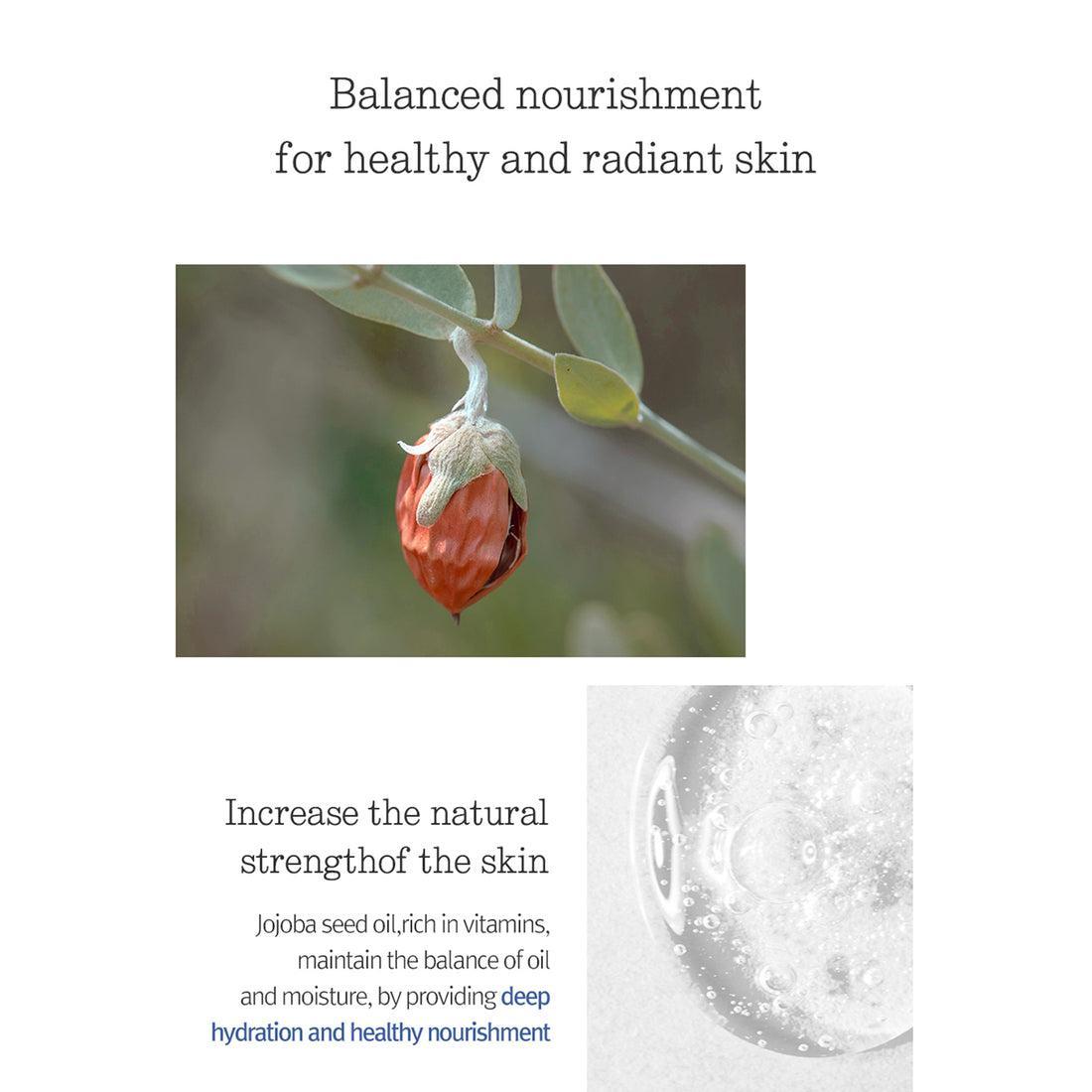 PyunkangYul Balancing Gel 100ml