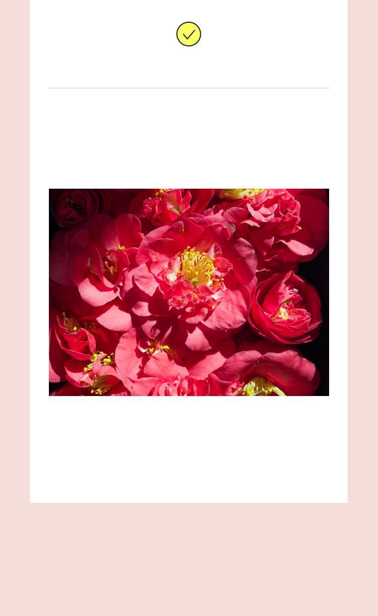 Mamonde AGE CONTROL SKIN LIFT SOFTENER 200ml