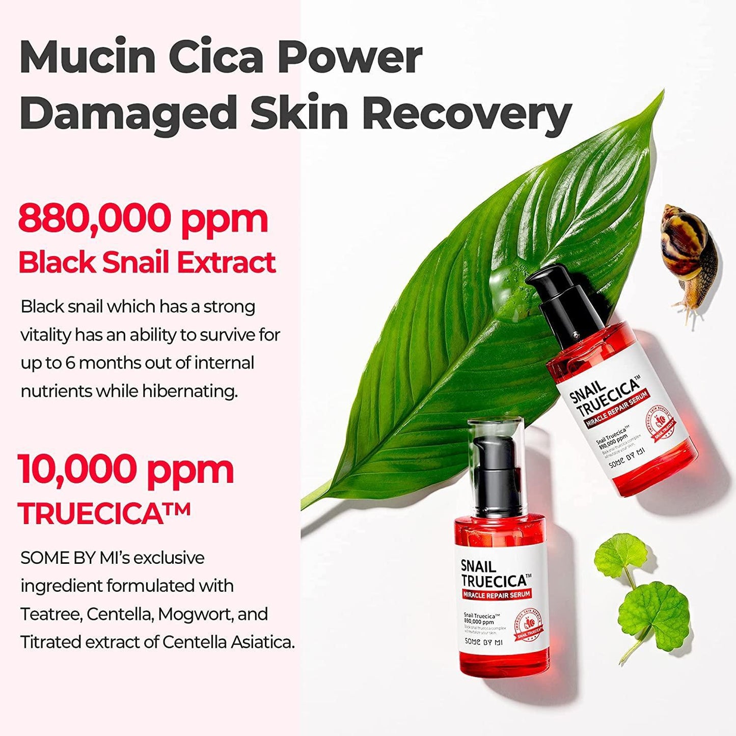 SomeByMi SNAIL TRUECICA MIRACLE REPAIR SERUM 50ml