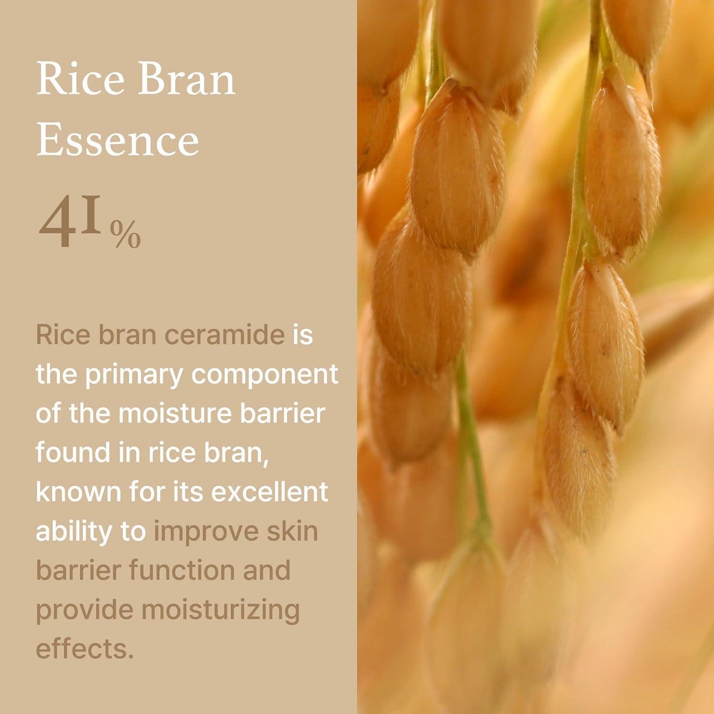ImFrom Rice Cream 50g