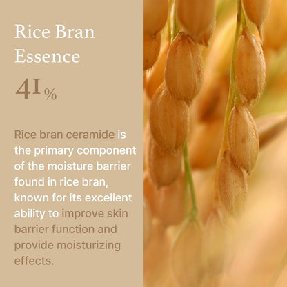 ImFrom Rice Cream 50g