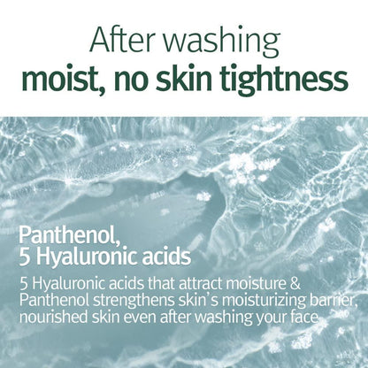 PyunkangYul Calming Acne Facial Cleanser 100ml