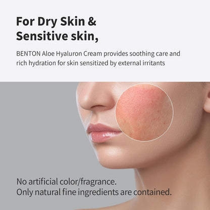 Benton ALOE HYALURON CREAM 50g