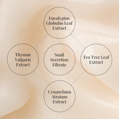 Coeur Ghost Repair Cream 50ml