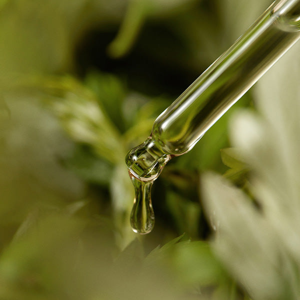 ImFrom Mugwort Serum 30ml