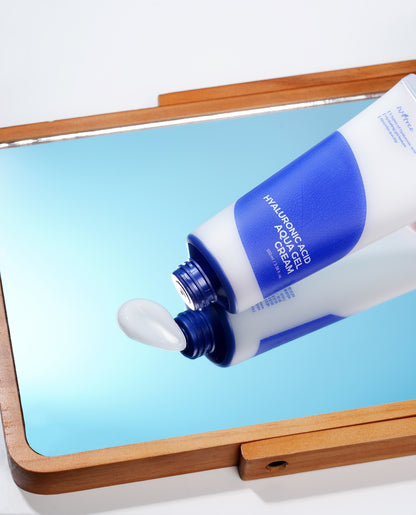 Isntree Hyaluronic Acid Aqua Gel Cream 100ml