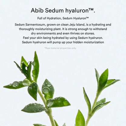 Abib Sedum Hyaluron Pad | Hydrating Touch Pads | K-Beauty Express