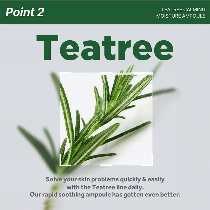 Mediheal Teatree Calming Moisture Ampoule 50ml-4