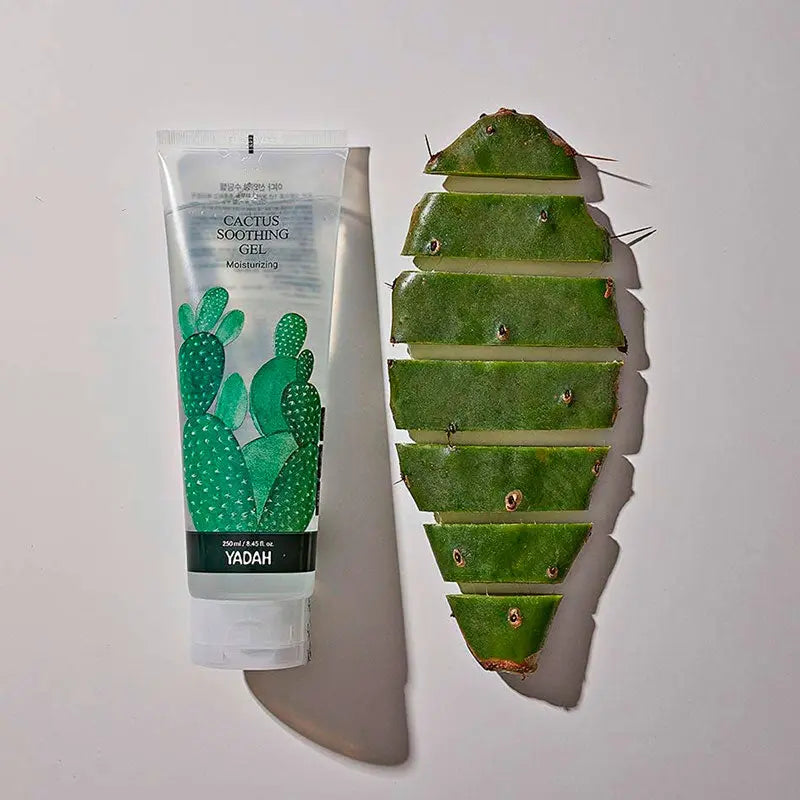 Yadah Cactus Soothing Gel 250ml-3